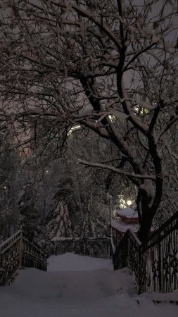 Зима ночью эстетика скачать фон 1080 x 1920