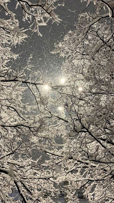 Зимняя эстетика скачать фон 1080 x 1920
