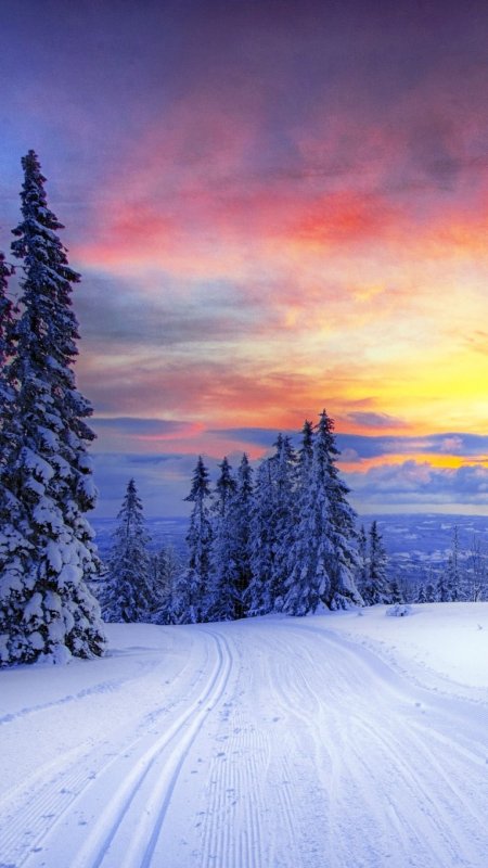 Winter scenery скачать фон 1080 x 1920