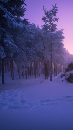 Зима закат скачать фон 1080 x 1920