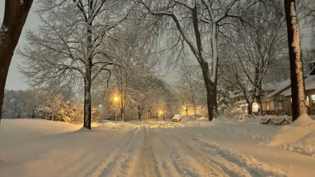 Winter scenery скачать фон 1920 x 1080