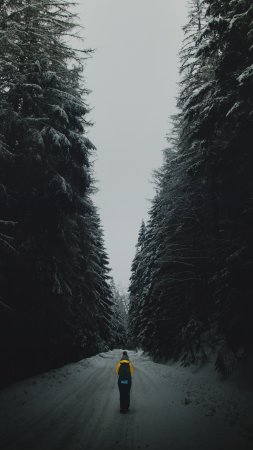 Зимняя дорога в лесу ночью скачать фон 1424 x 2532