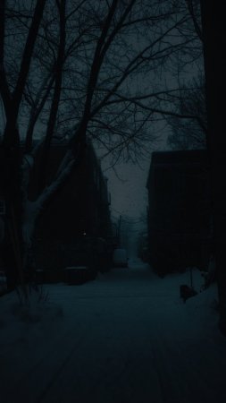 Мрачный зимний пейзаж скачать фон 1080 x 1920