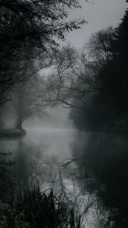 Мрачные пейзажи скачать фон 720 x 1280