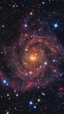Галактика ngc 6946