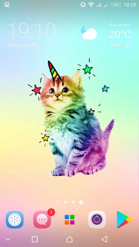 Котик радужный