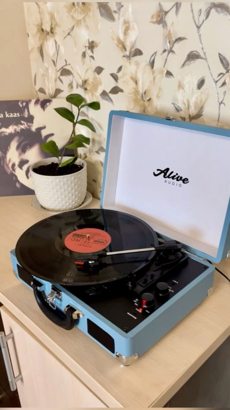 Виниловые проигрыватели alive audio