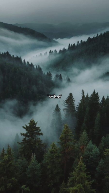 Лес в тумане скачать фон 1080 x 1920