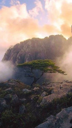 Скала природа скачать фон 720 x 1280