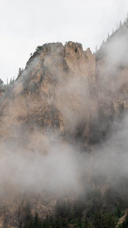 Природа пейзаж скачать фон 1424 x 2532
