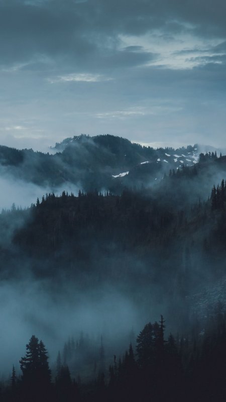 Лес горы туман скачать фон 1080 x 1920