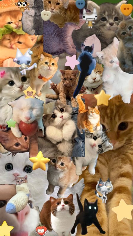 Обои с кошачьими коллажами