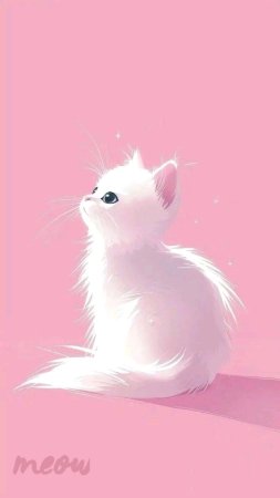 Котики рисунки милые