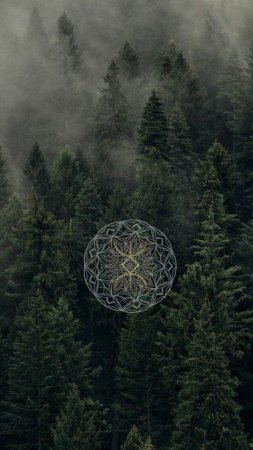 Цветок жизни сакральная геометрия скачать фон 720 x 1280