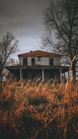 Abandoned country house скачать фон 1080 x 1920
