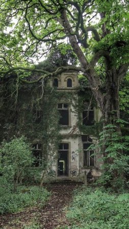 Заброшенные особняки скачать фон 720 x 1280