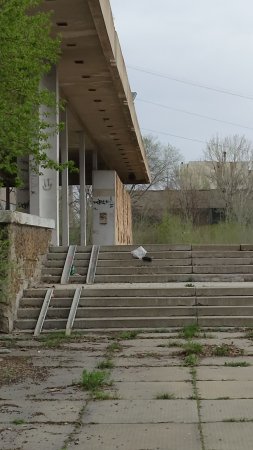 Кинотеатр юбилейный волгоград красноармейский район скачать фон 2160 x 3840