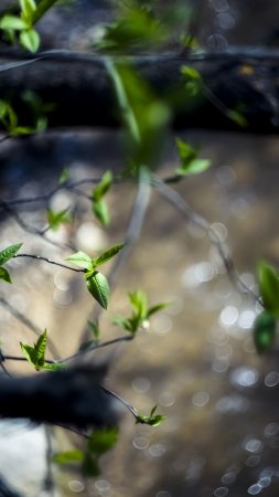 Весна пробуждение природы