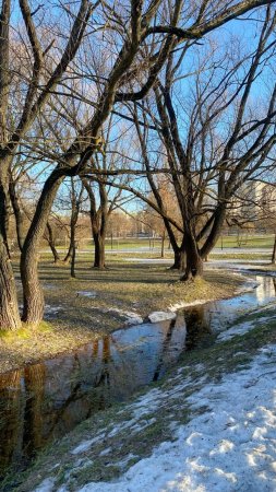 Измайловский парк весна