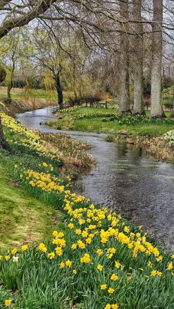 Весна природа