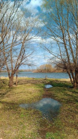 Весна пейзаж