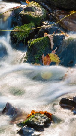 Поток воды