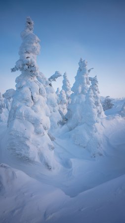Главный уральский хребет скачать фон 2160 x 3840