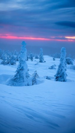 Главный уральский хребет скачать фон 2160 x 3840