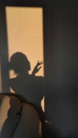 Тень девушки