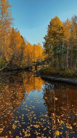 Река осень