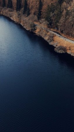 Фотографии природа