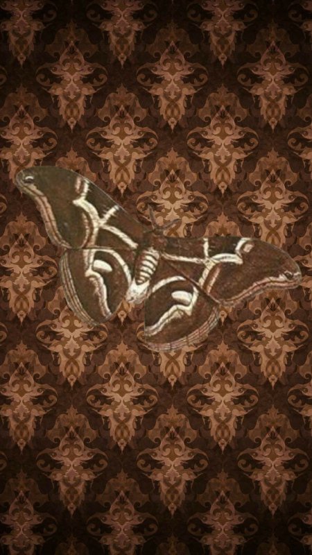 Коричневый узор скачать фон 1080 x 1920