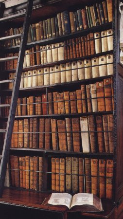 Old library скачать фон 1424 x 2532