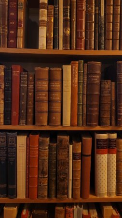 Book library скачать фон 1424 x 2532