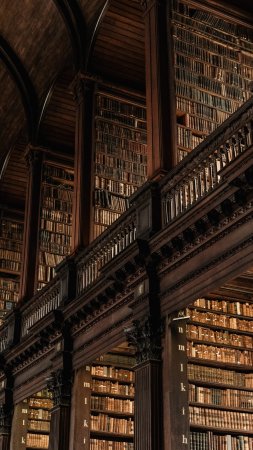 Trinity college library dublin скачать фон 1424 x 2532