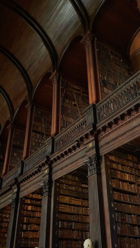 Trinity college library dublin скачать фон 1080 x 1920
