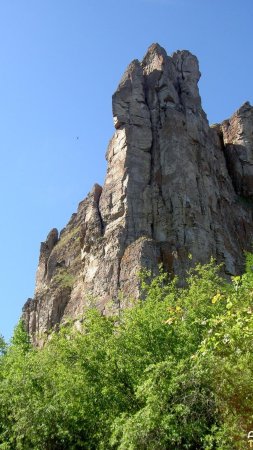 Природный парк ленские столбы скачать фон 1080 x 1920