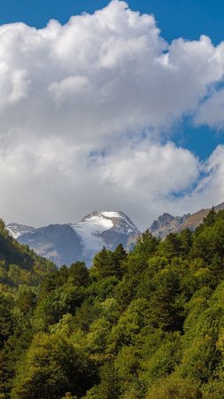 Цейское ущелье северная осетия скачать фон 1424 x 2532