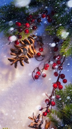 Новогодняя заставка скачать фон 2160 x 3840