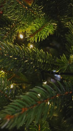 Ель искусственная crystal trees персея с вплетенной гирляндой см зеленая скачать фон 720 x 1280