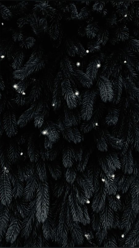 Черный новогодний фон скачать фон 1080 x 1920