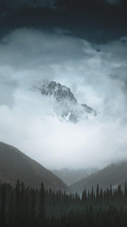 Tian shan mountains скачать фон 2160 x 3840