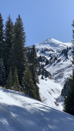 Гора алатау скачать фон 2160 x 3840