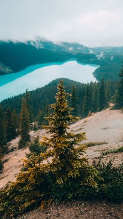 Пейзажи природа скачать фон 1080 x 1920
