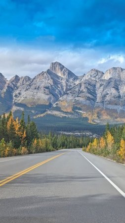 Icefields parkway канада скачать фон 1080 x 1920