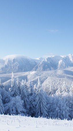 Зима горы скачать фон 2160 x 3840