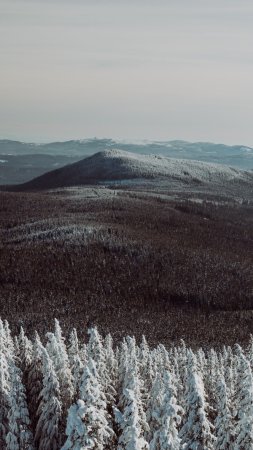Гора туман скачать фон 1424 x 2532