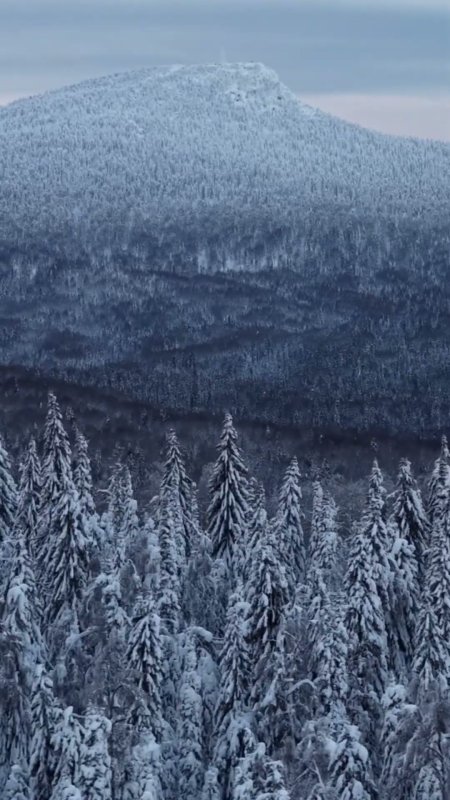 Гора полюд скачать фон 1080 x 1920