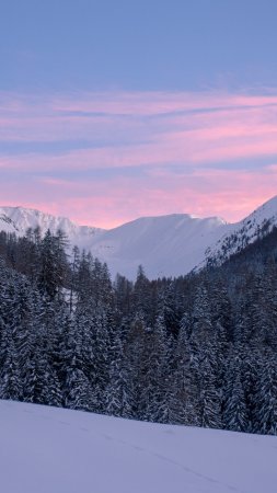 Гора снег скачать фон 2160 x 3840