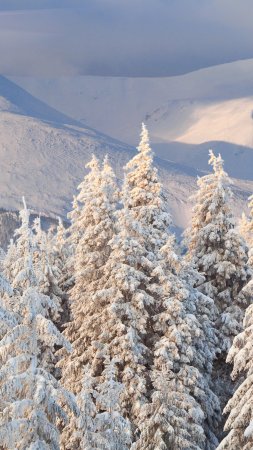 Горы зимние скачать фон 2160 x 3840